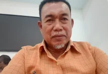 PERPADI Tolitoli Optimistis Musim Tanam Baru, Dorong Peningkatan Mutu Beras