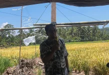 Anggaran Rp14 Miliar, Petani Buol Kini Bisa Pinjam Alsin dan Drone