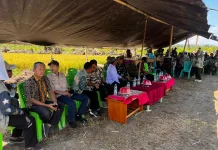 Sinergi Membuahkan Hasil, Desa Unone Gelar Panen Perdana Program Cetak Sawah