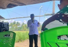 DPRD Buol Dorong Peningkatan Standar Pengerjaan Program Cetak Sawah Rakyat