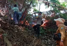 BMKG Imbau Waspada Kebakaran Hutan dan Lahan saat Cuaca Panas