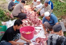 Masjid Al-Madinah Bombolayang Buka Program Qurban, Harga Mulai Rp2,5 Juta