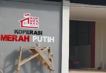 Generasi Muda Didorong Aktif Majukan Koperasi Merah Putih