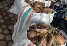 Usaha penjualan sabut kelapa cincang mulai menunjukkan potensi