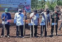 Desa Pomayagon Ambil Bagian dalam Gerakan Tanam Serempak Nasional