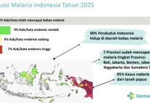 Kemenkes: Eliminasi Malaria Butuh Konsistensi hingga 2030