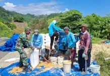 Babinsa Paleleh Dampingi Petani Rontok Jagung di Buol