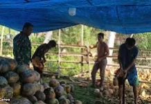 Babinsa Simatang Ajak Petani Waspadai Karhutla saat Kemarau