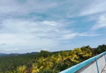 Cuaca Panas, Warga Tolitoli Diimbau Waspadai Kebakaran