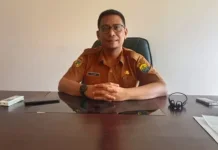 Ternak Liar Picu Kecelakaan di Bokat, Pemilik Sapi Dilaporkan ke Polisi