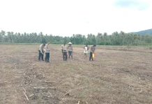 Kapolsubsektor Mepanga Dampingi Penanaman Jagung di Kotaraya Barat