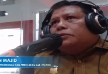 Dinas Perkebunan dan Peternakan Tolitoli Jamin Kesehatan Hewan Kurban Bebas PMK