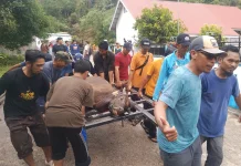 WIZ Tolitoli Kelola 33 Sapi dan 8 Kambing Kurban Iduladha