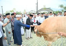 Idul Adha 1447 H, Gubernur Sulteng Serahkan 127 Ekor hewan Kurban