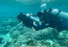 Mengenal BDC, Komunitas Selam Pemuda Buol yang Pernah Ikut Pecahkan Rekor Dunia