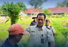 Lapas Parigi Panen Ratusan Sayur, Dukung Program Swasembada Pangan