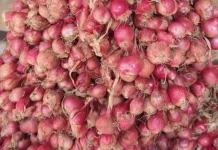 Stok Kurang Harga Bawang Merah Melonjak