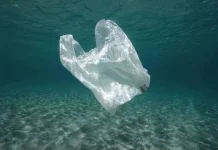 Sampah Plastik Laut Mengkhawatirkan, Perlu Aksi Nyata Bersama