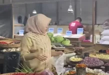 Harga Cabai Rawit di Tolitoli Turun Jadi Rp90 Ribu per Kg