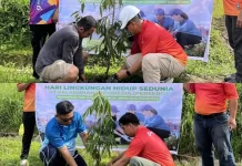 Peringati Hari Lingkungan Hidup Sedunia Pelindo Tolitoli Tanam Pohon