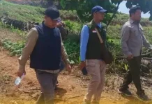 Kantah Buol Tinjau Trayek Tata Batas Hutan di Unone dan Bukal