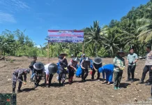 Genjot Produktivitas Kedelai di Buol, Tim Penyuluh Fokus Ubah Pola Pikir Petani