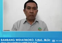 Dari BKSDA Sulteng, Otoritas Perlindungan Satwa Laut Kini Beralih Penuh ke KKP