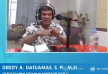 Pemkab Tolitoli Tetap Lindungi Satwa Laut meski Tak Berwenang