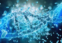 Probiotik & Prebiotik Bantu Menjaga Kesehatan Jantung Optimal