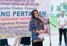 Pemkab Tolitoli Perkuat Dukungan untuk Tingkatkan Produksi Pertanian