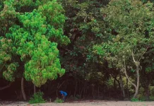 Diselimuti Potensi, Kecamatan Karamat Bidik Jadi Pusat Wisata Unggulan di Buol