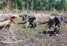 Koramil Momunu Hadir di tengah Petani Dukung Ketahanan Pangan