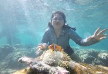 Eksplorasi Wisata Bahari Buol Dinilai Perlu Segera Dilakukan
