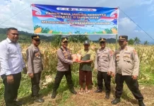 Sinergi TNI-Polri Perkuat Ketahanan Pangan di Lampasio