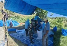 Pendampingan Petani Jagung Jadi Wujud Dukungan Ketahanan Pangan