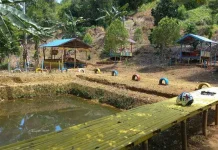 Villa Bunga Cengkeh, Hidden Gem Wisata Baru di Tolitoli