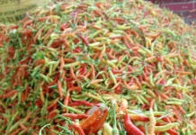 Harga Cabai Rawit di Buol Turun Jadi Rp60 Ribu per Kilogram