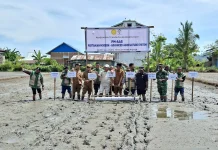 Buol Terapkan PM-AAS untuk Dongkrak Produktivitas Padi