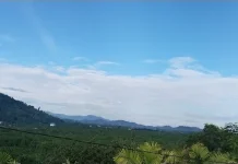 Cuaca Tiga Daerah di Sulteng Didominasi Cerah Berawan