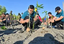 Hari Mangrove Sedunia, Momentum Jaga Pesisir dari Abrasi