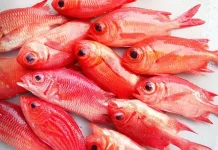 Cara Mudah Membersihkan Sisik Ikan agar Lebih Cepat dan Praktis