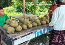 Durian Bajugan Laris, Pedagang Dibanjiri Pembeli dari Kota