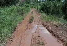 Infrastruktur Jalan Transmigrasi Tolitoli Terus Ditingkatkan