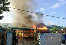 Musim Kemarau, BMKG Tolitoli Ingatkan Ancaman Kebakaran