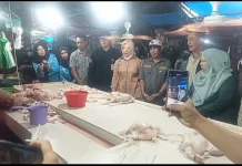 Wagub Sulteng Sidak Pasar Susumbolan, Harga Pangan Stabil