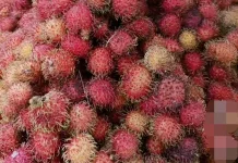 Musim Buah Jadi Peluang, Sarifudin Jual Durian dan Rambutan