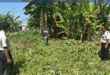 Lapas Tolitoli Buka Lahan Baru untuk Perkuat Ketahanan Pangan