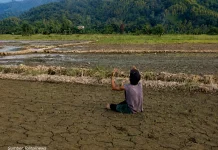 Krisis Air Ancam Lahan Persawahan di Kecamatan Galang