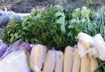 Pasokan Sayur Mayur di Pasar Kampung Bugis Terbatas sebab Kemarau