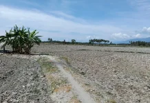 Hujan Belum Turun, Ikhtiar Spiritual Menghadapi Kemarau Menguat